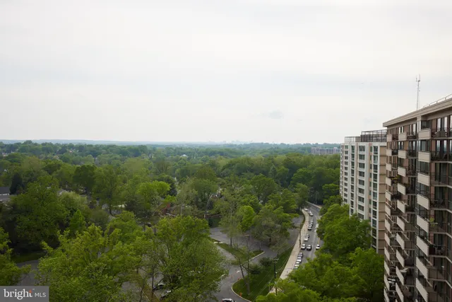 a view of a patio with dining table and chairs with a large tree