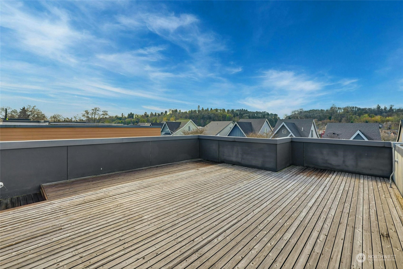 4404 Renton Avenue South Seattle, WA 98108 - Photo 20 of 25 a view of outdoor space with mountain view