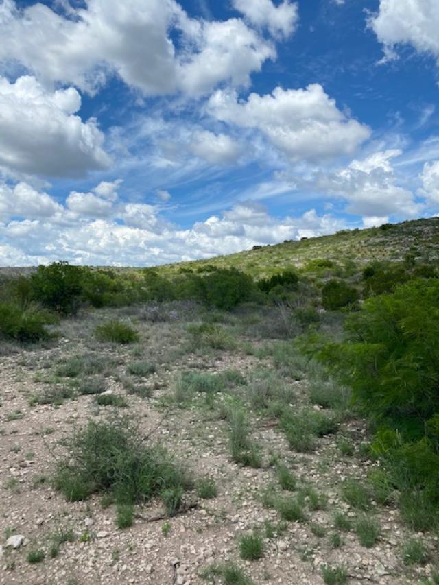 0 Fm 2523 Del Rio, TX 78840 - Photo 14 of 28