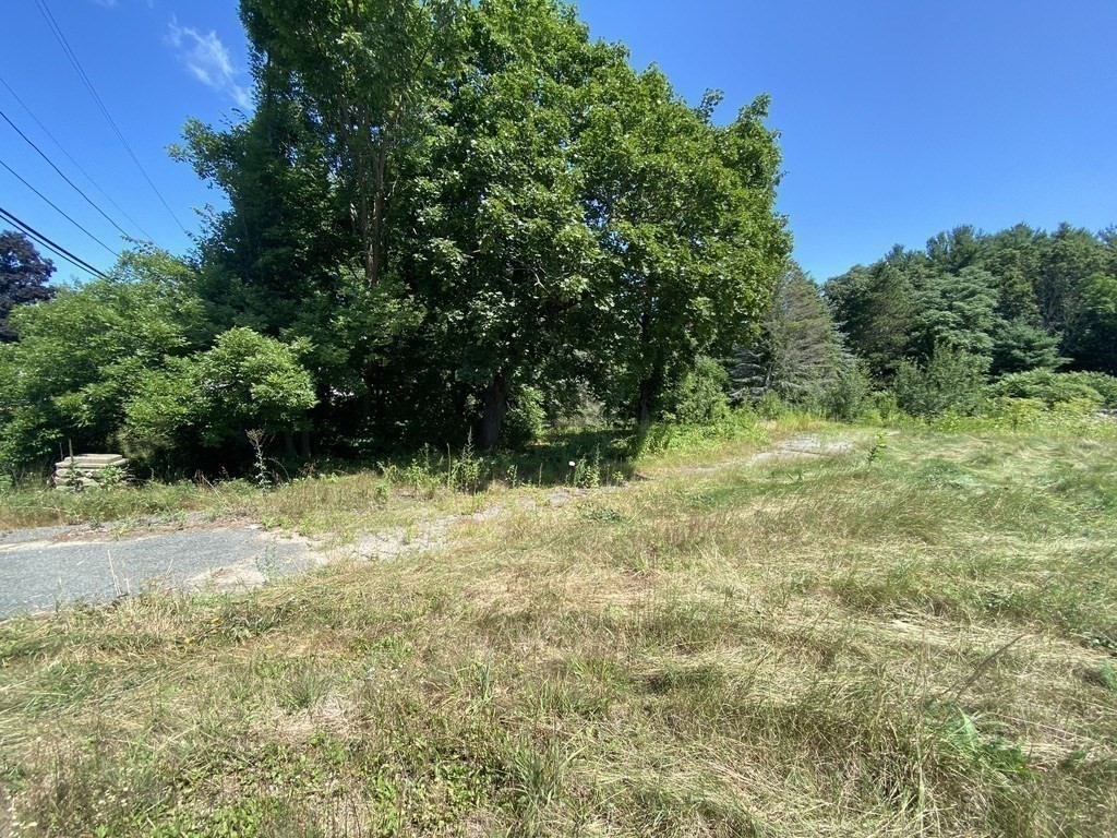 371 Providence Road Grafton, MA 01560 - Photo 11 of 13 a view of backyard with green space