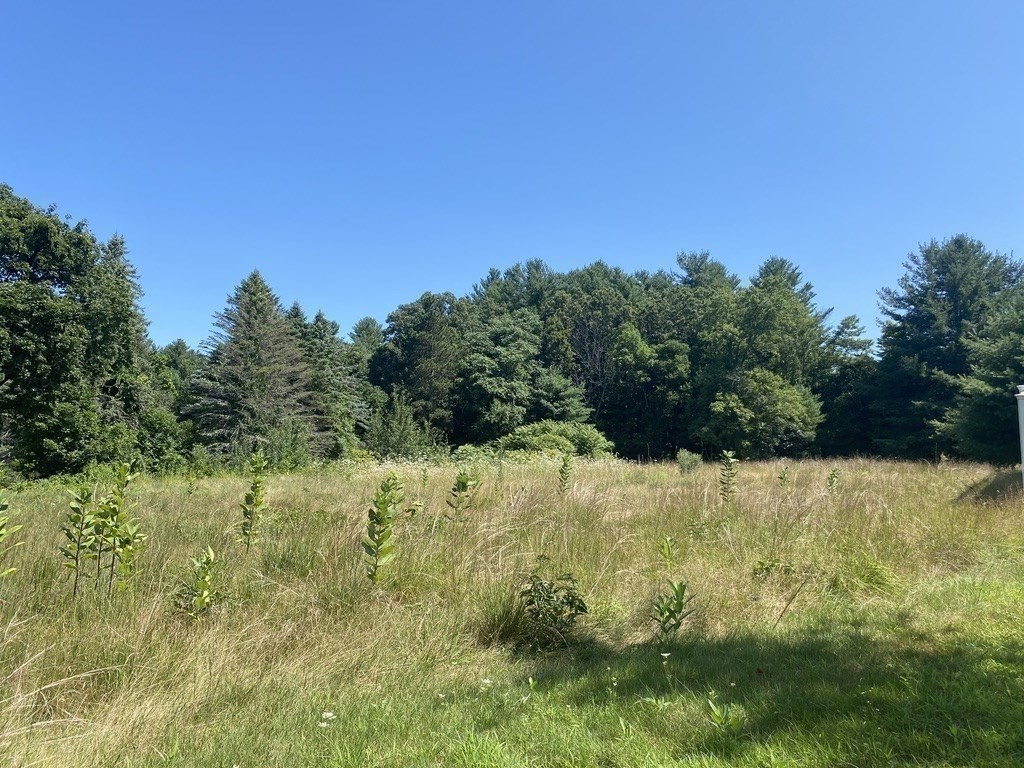 371 Providence Road Grafton, MA 01560 - Photo 8 of 13 a view of a yard