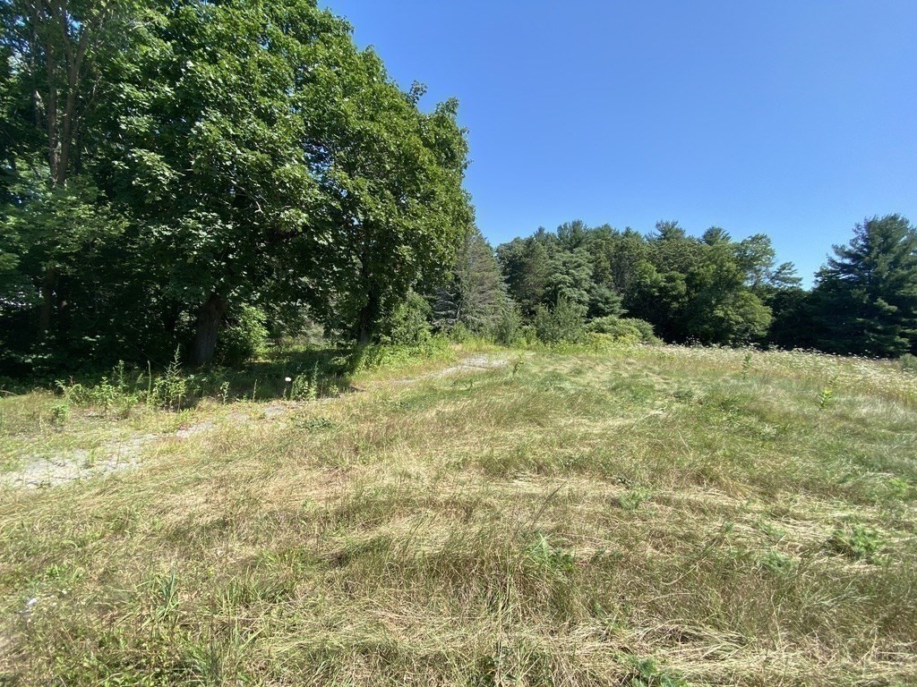 371 Providence Road Grafton, MA 01560 - Photo 9 of 13 a backyard of a house with lots of green space