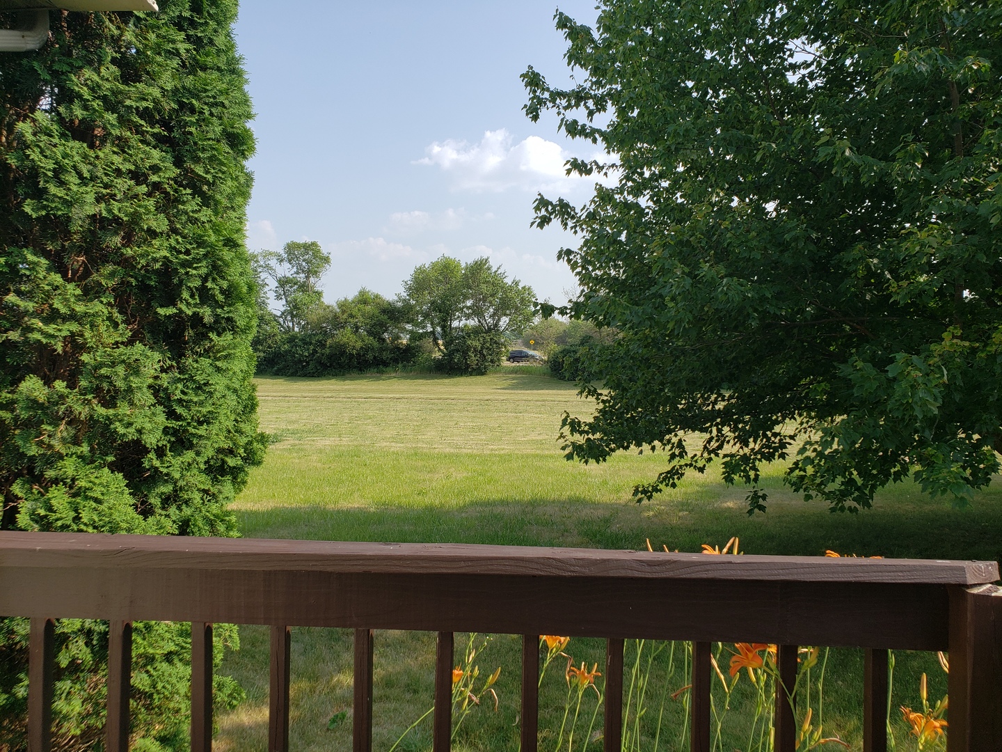107 Labrador Lane Downs, IL 61736 - Photo 32 of 35 a view of a lake from a balcony