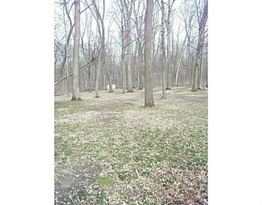 2890 Fowler Road Springfield, OH 45502 - Photo 15 of 15 Gallery Image 15