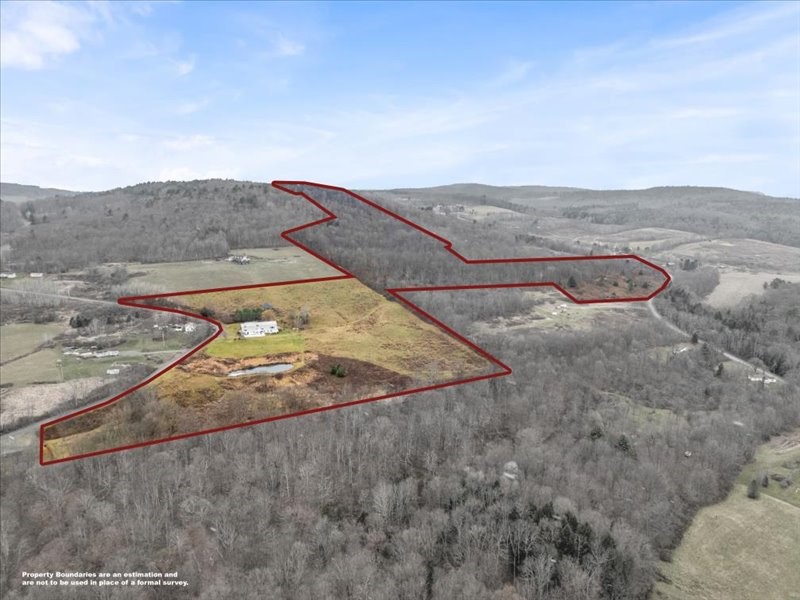 445 Holmesville Hill Road New Berlin, NY 13843 - Photo 2 of 50