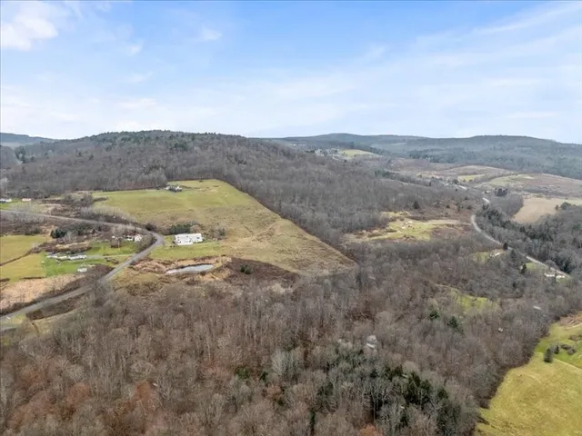 $850,000 | 445 Holmesville Hill Road, New Berlin, NY 13843