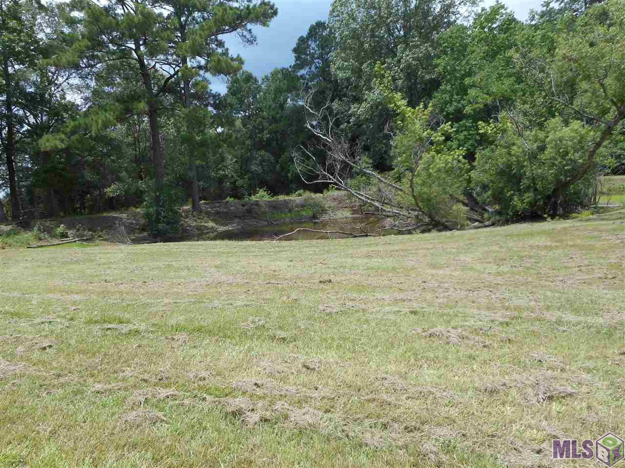 4371 Gilead Road Clinton, LA 70722 - Photo 7 of 28 Gallery Image 7