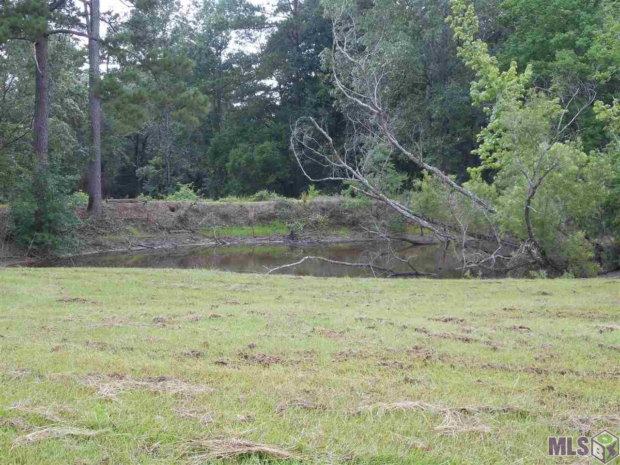 4371 Gilead Road Clinton, LA 70722 - Photo 10 of 28 Gallery Image 10