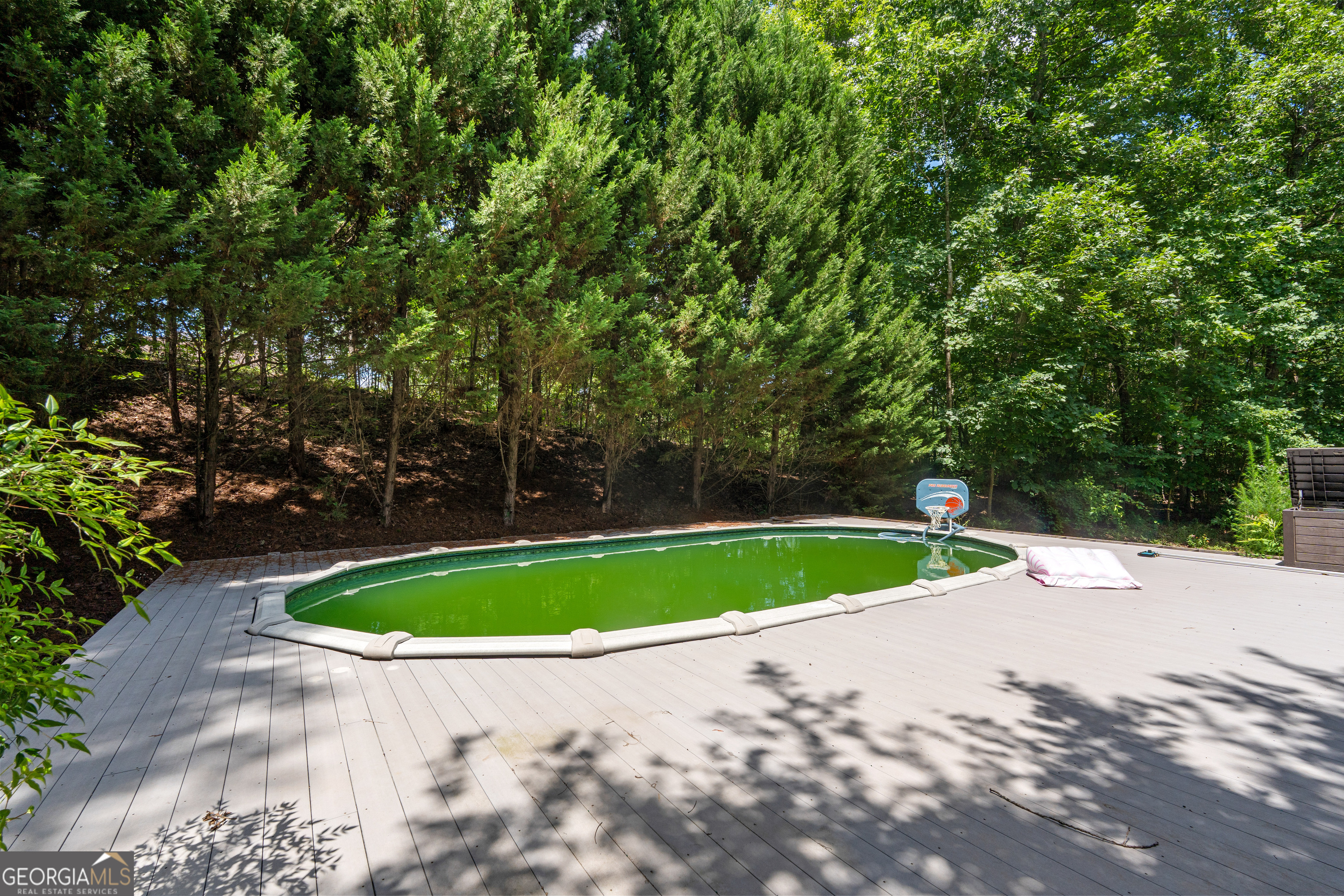 893 Hines Road Moreland, GA 30259 - Photo 55 of 62