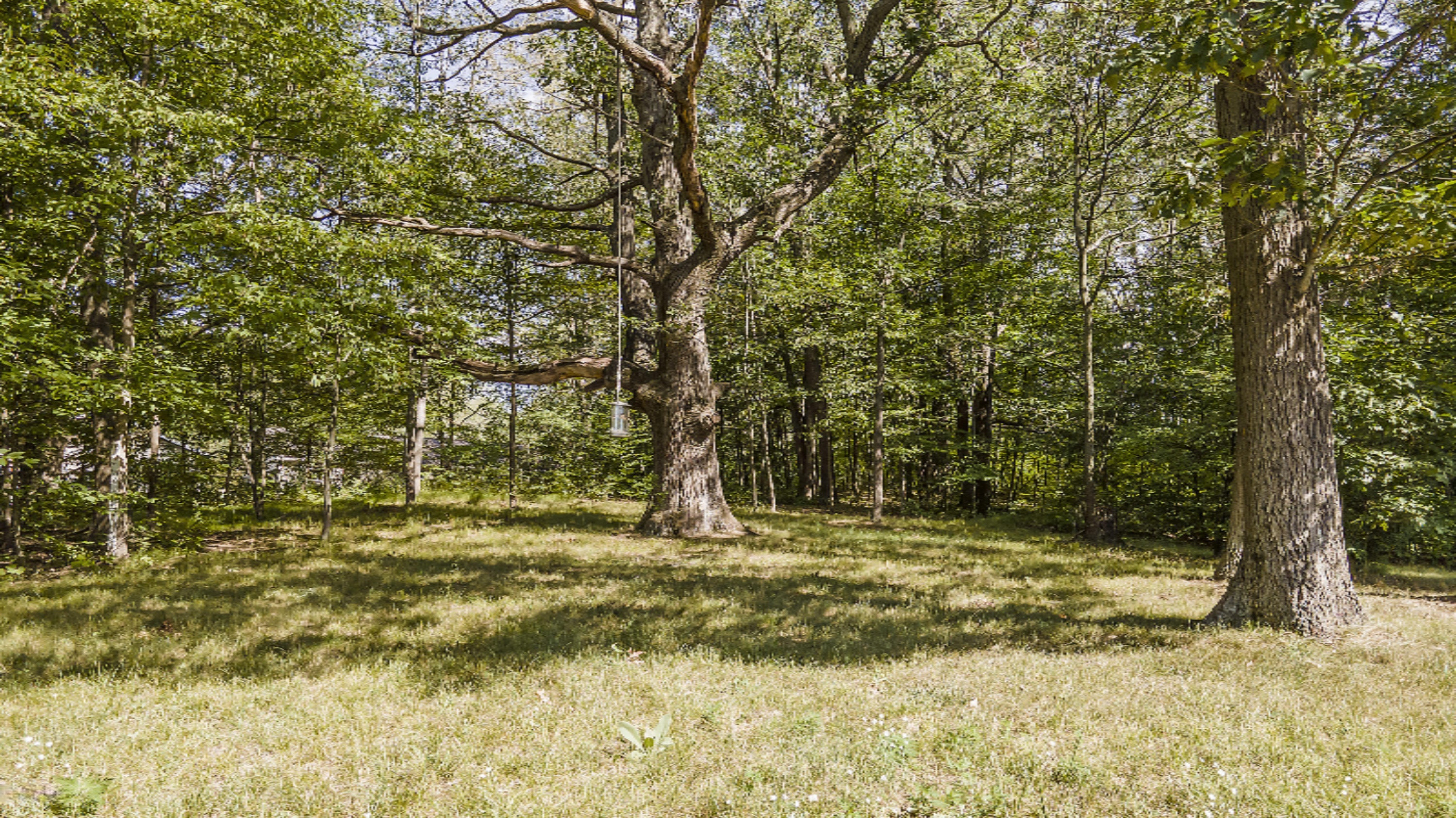 10976 Blue Ridge Lane Mecosta, MI 49332 - Photo 36 of 43 DJI_0041-r