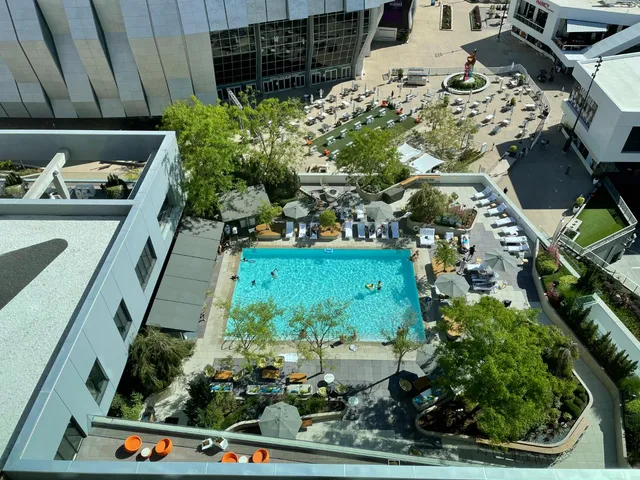 a bunch of flowers are in a garden