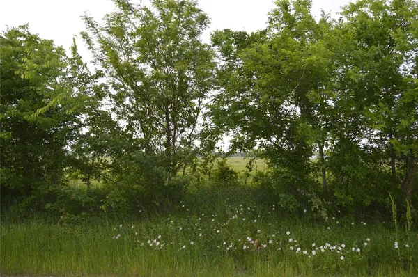 a view of lake background