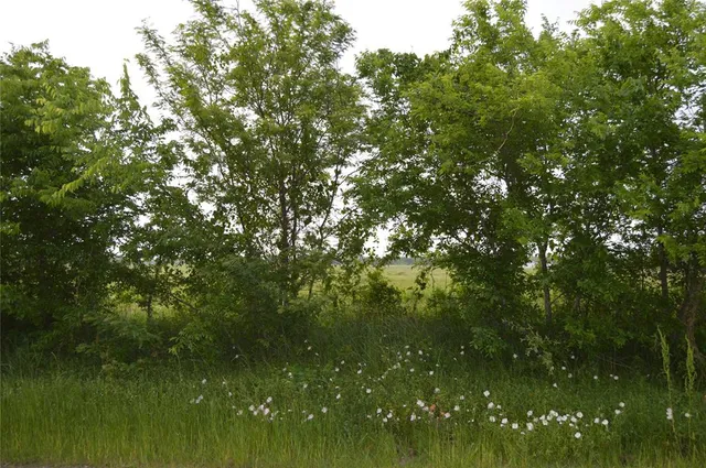 a view of lake background