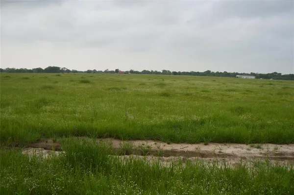 a view of a field with a field