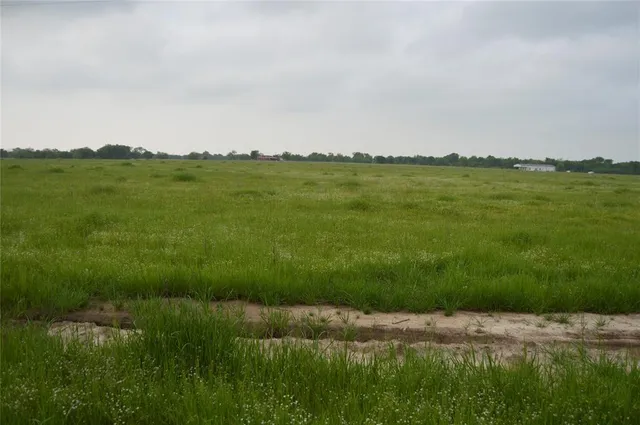 a view of a field with a field