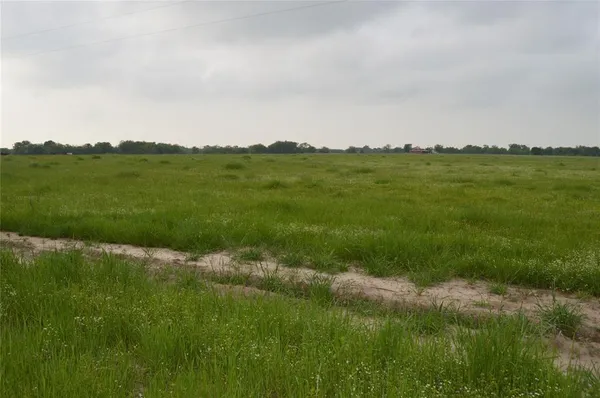 a view of grassy field with mountain
