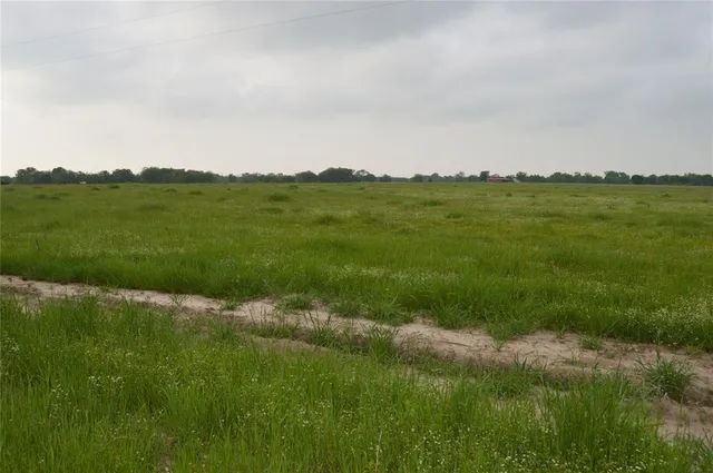 a view of grassy field with mountain