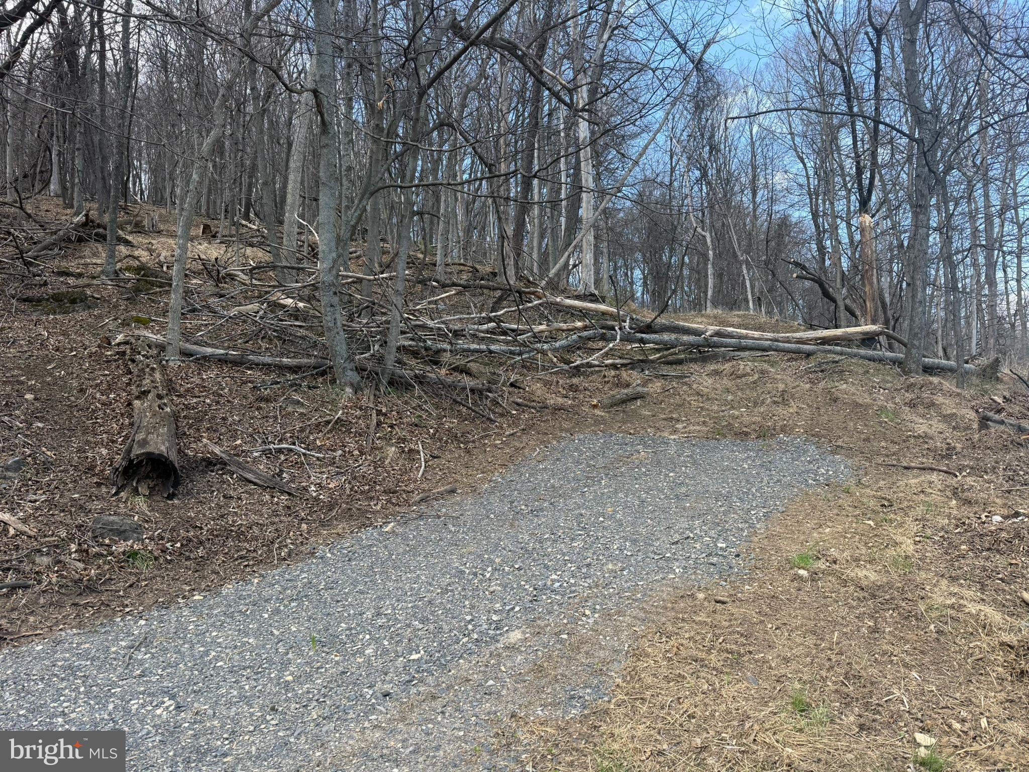 Waxler Road Keyser, WV 26726 - Photo 3 of 12 a view of outdoor space with trees