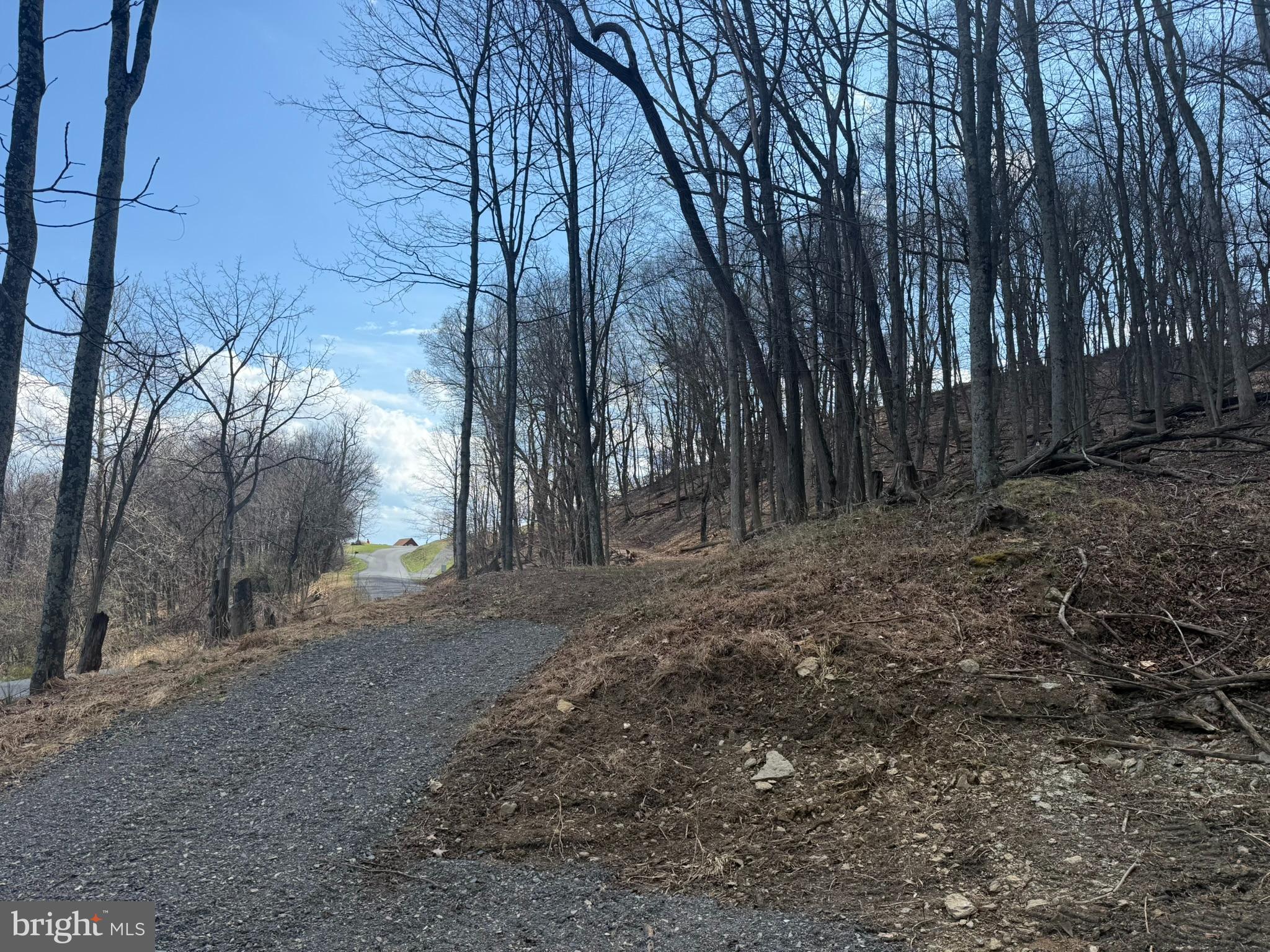 Waxler Road Keyser, WV 26726 - Photo 6 of 12 a view of a yard with trees