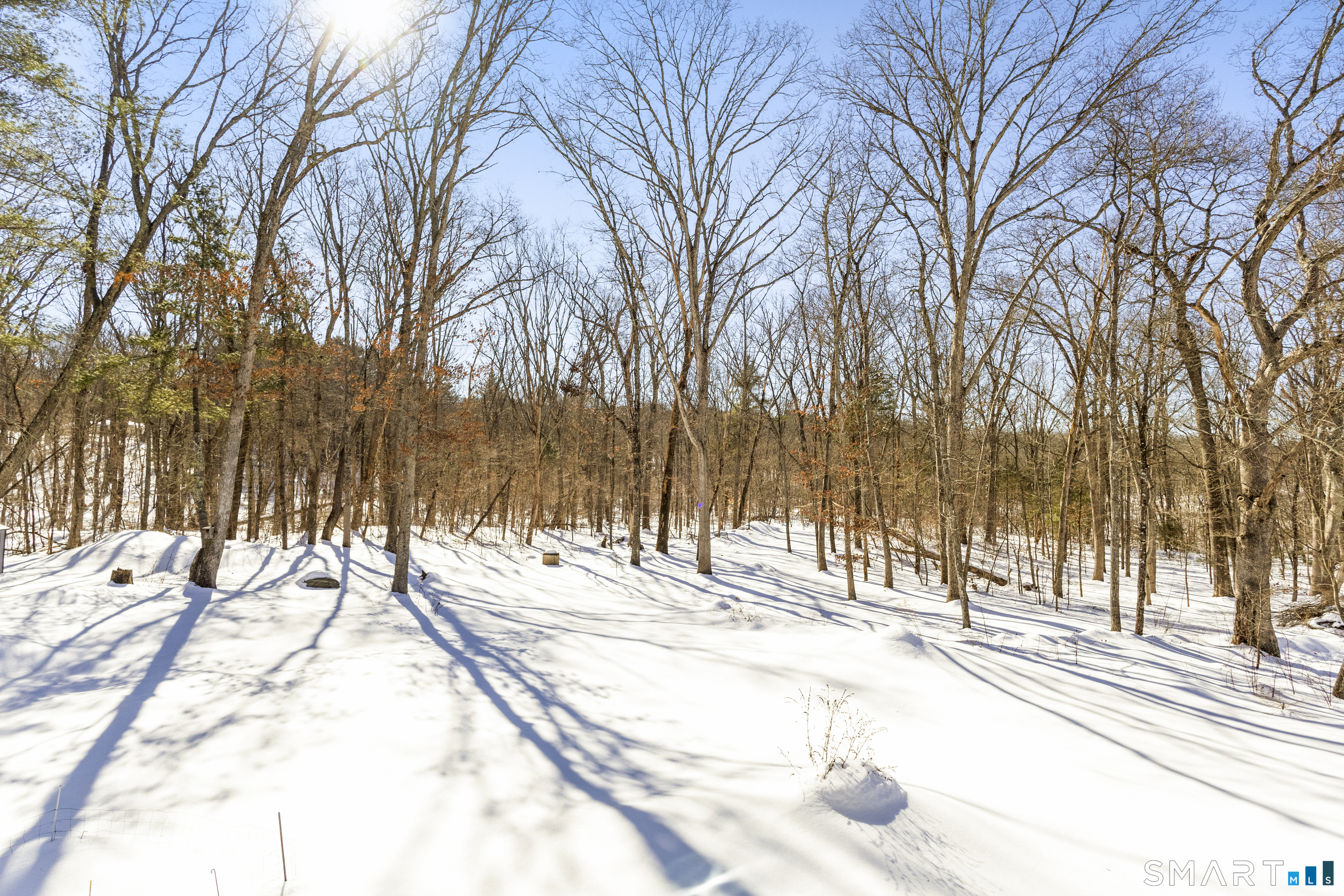 81 Chappell Street Chaplin, CT 06235 - Photo 14 of 14