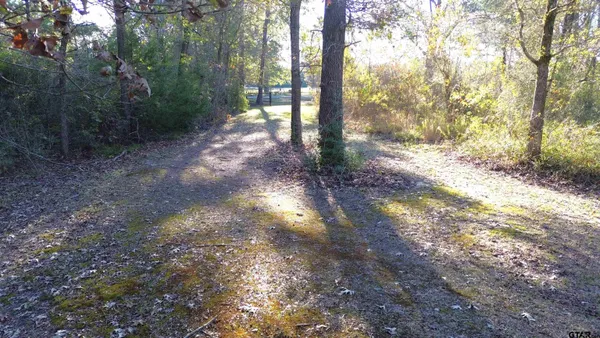 a view of a yard with trees