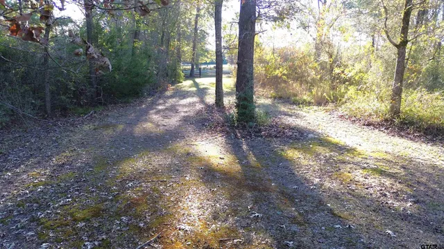 a view of a yard with trees