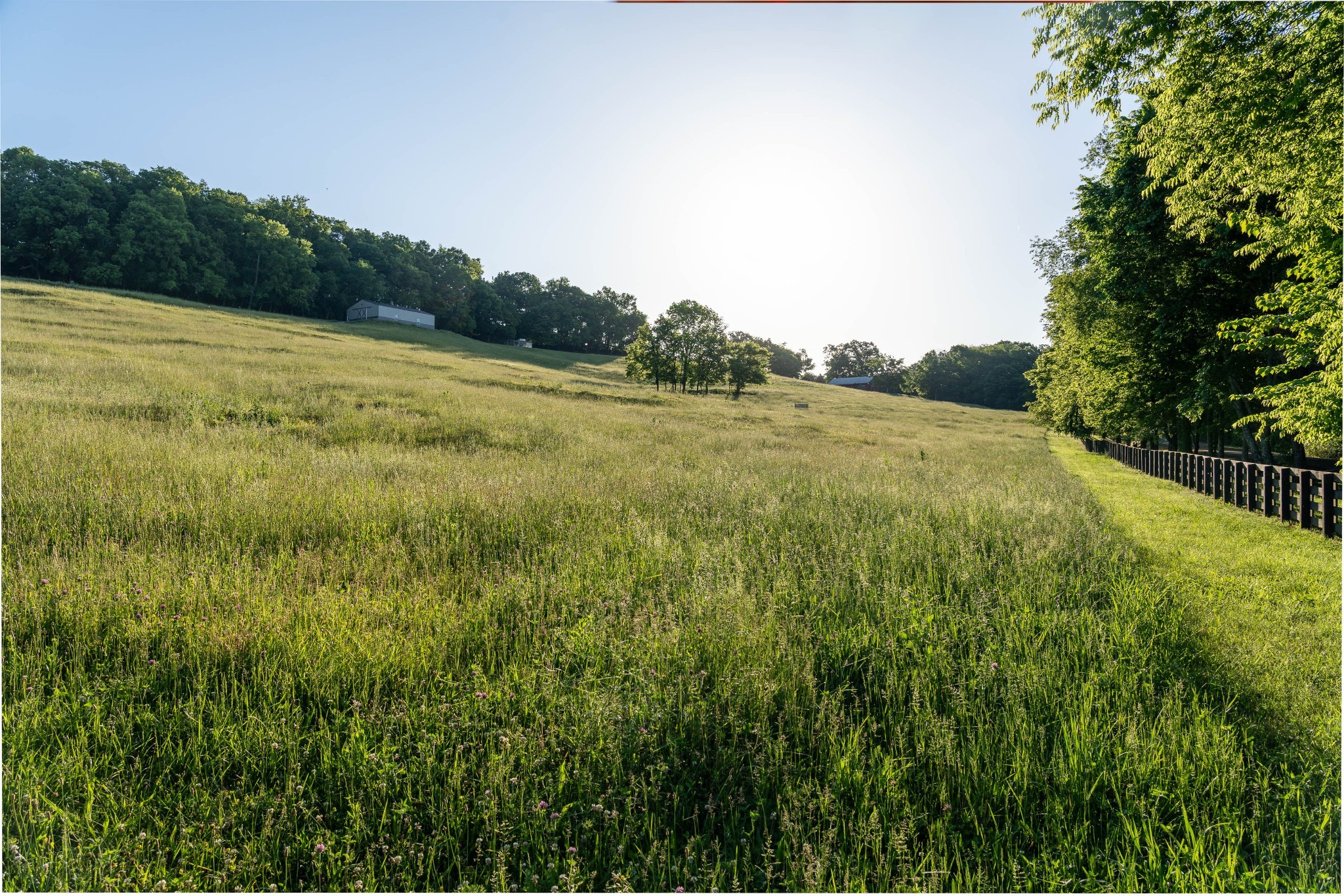 3210 Morel Road Columbia, TN 38401 - Photo 54 of 76 Gallery Image 54