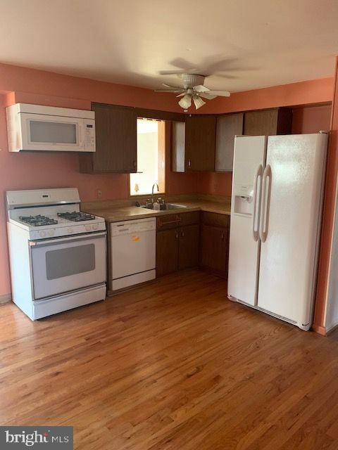 1975 Holland Cliffs Road Huntingtown, MD 20639 - Photo 5 of 19 kitchen with additional counter space behind me