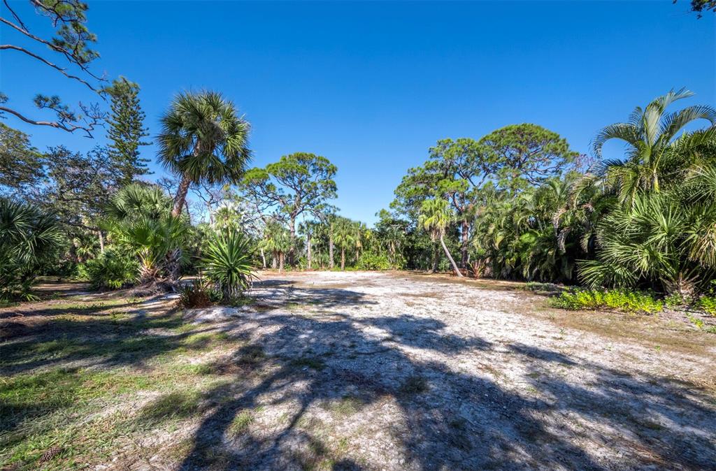 7233 Pine Needle Road Sarasota, FL 34242 - Photo 11 of 49 a view of a yard with a tree