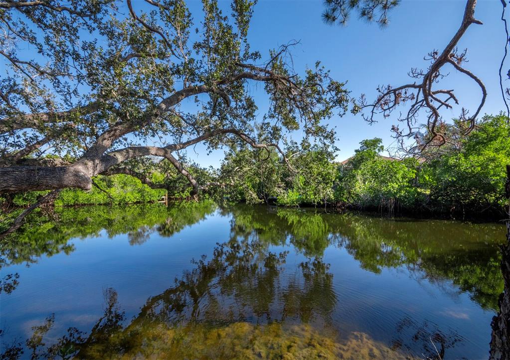 7233 Pine Needle Road Sarasota, FL 34242 - Photo 16 of 49 a view of a lake with a lake