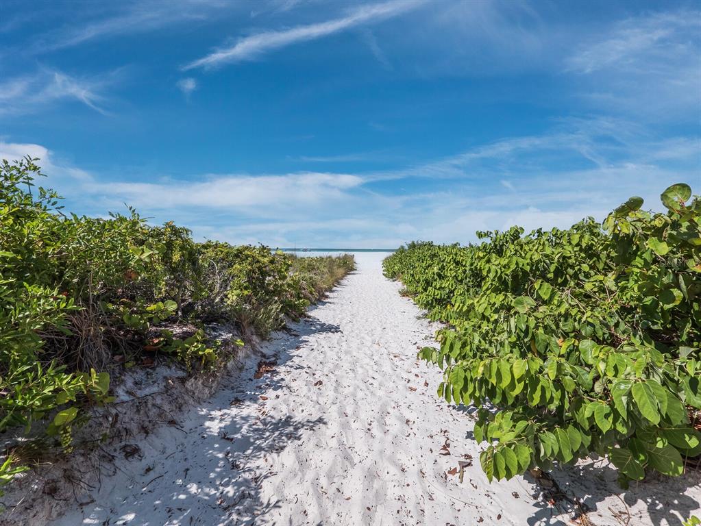 7233 Pine Needle Road Sarasota, FL 34242 - Photo 34 of 49 a view of a lake with a yard