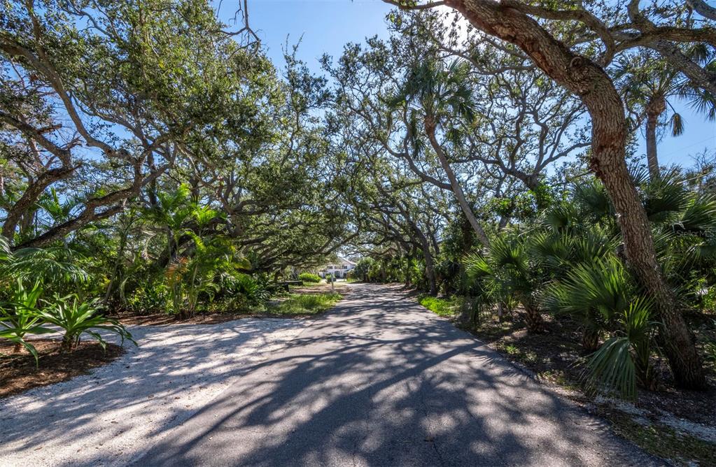 7233 Pine Needle Road Sarasota, FL 34242 - Photo 5 of 49 a view of outdoor space and yard