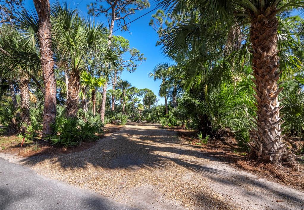 7233 Pine Needle Road Sarasota, FL 34242 - Photo 8 of 49 a view of a street with a tree