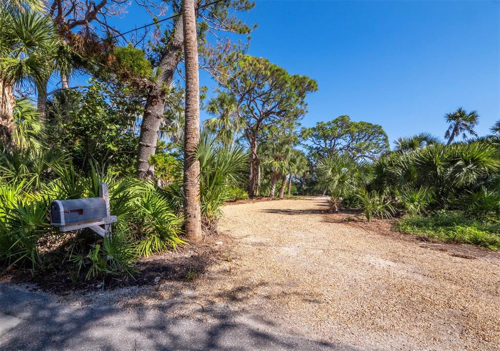 7233 Pine Needle Road Sarasota, FL 34242 - Photo 9 of 49 a view of a yard with plants and trees