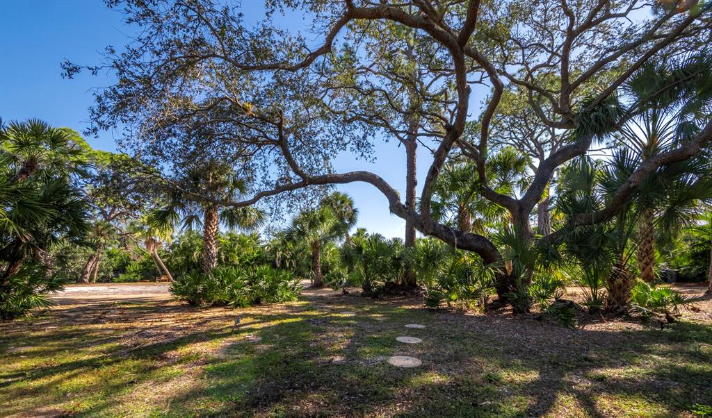 7233 Pine Needle Road Sarasota, FL 34242 - Photo 10 of 49 a picture of trees