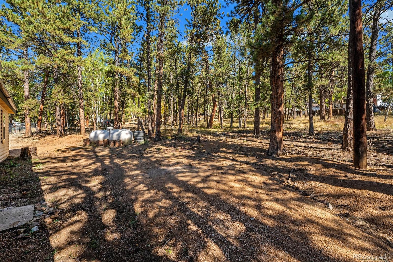 280 Sullivan Street Bailey, CO 80421 - Photo 23 of 24 Gallery Image 23