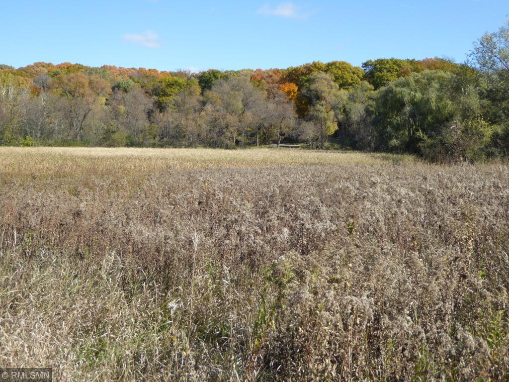1000 Brown Road South Orono, MN 55391 - Photo 17 of 46 Gallery Image 17