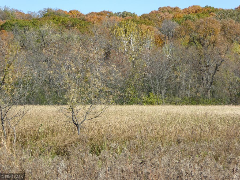 1000 Brown Road South Orono, MN 55391 - Photo 18 of 46 Gallery Image 18