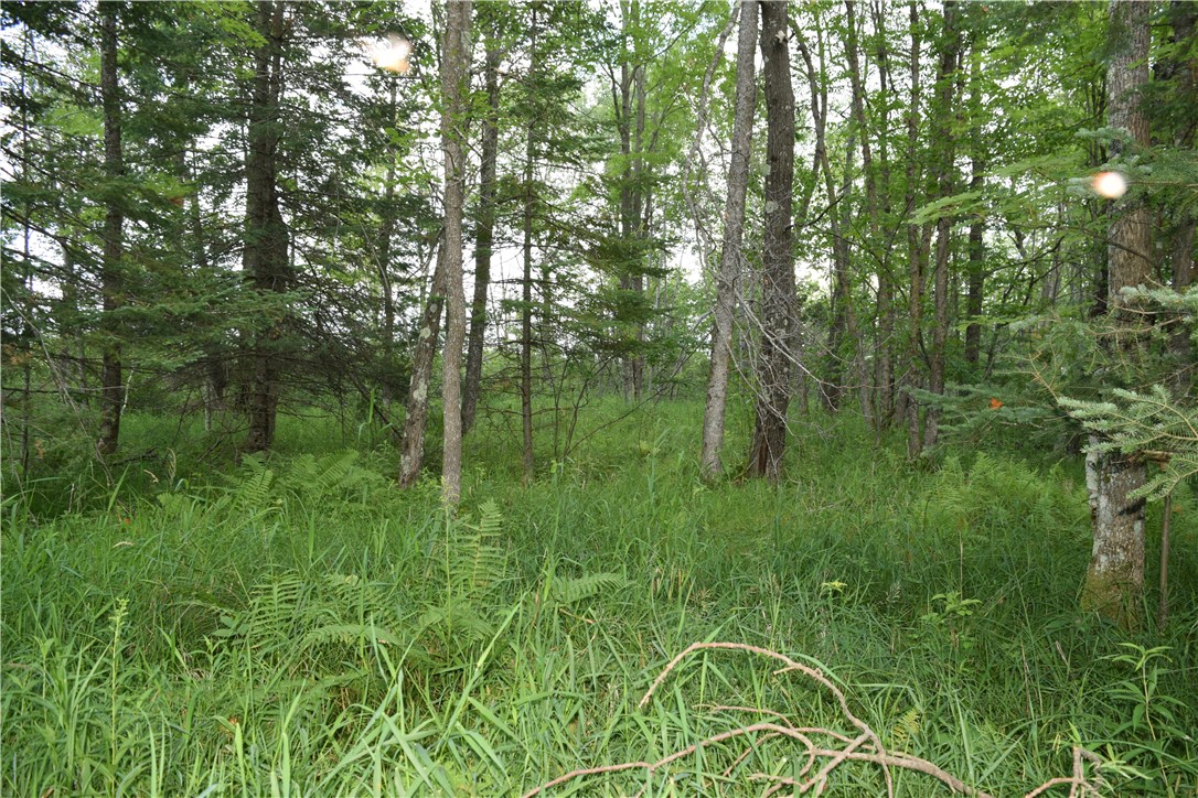 14 Old 14 Road Weyerhaeuser, WI 54895 - Photo 23 of 24