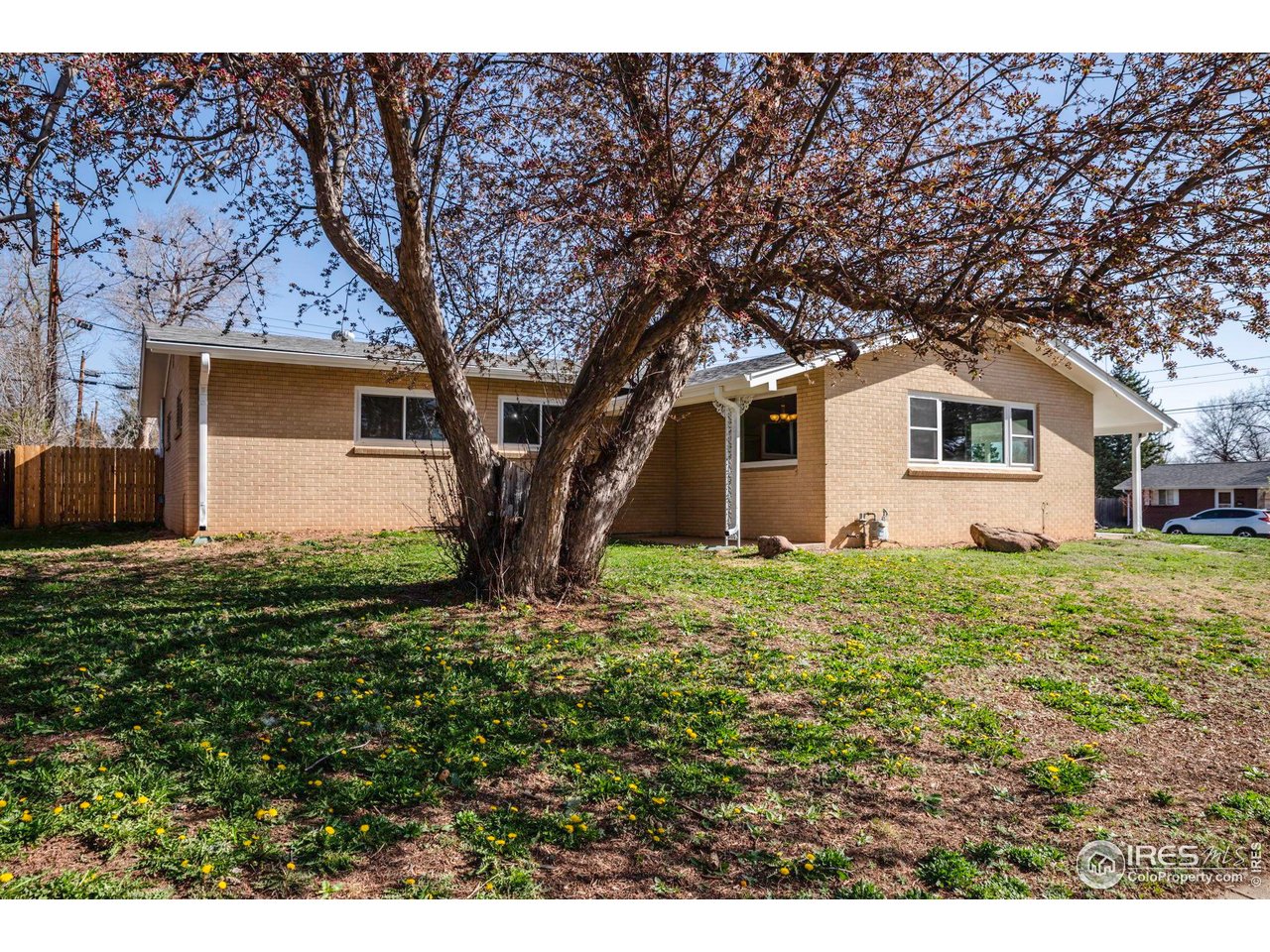 In the Heart of Boulder