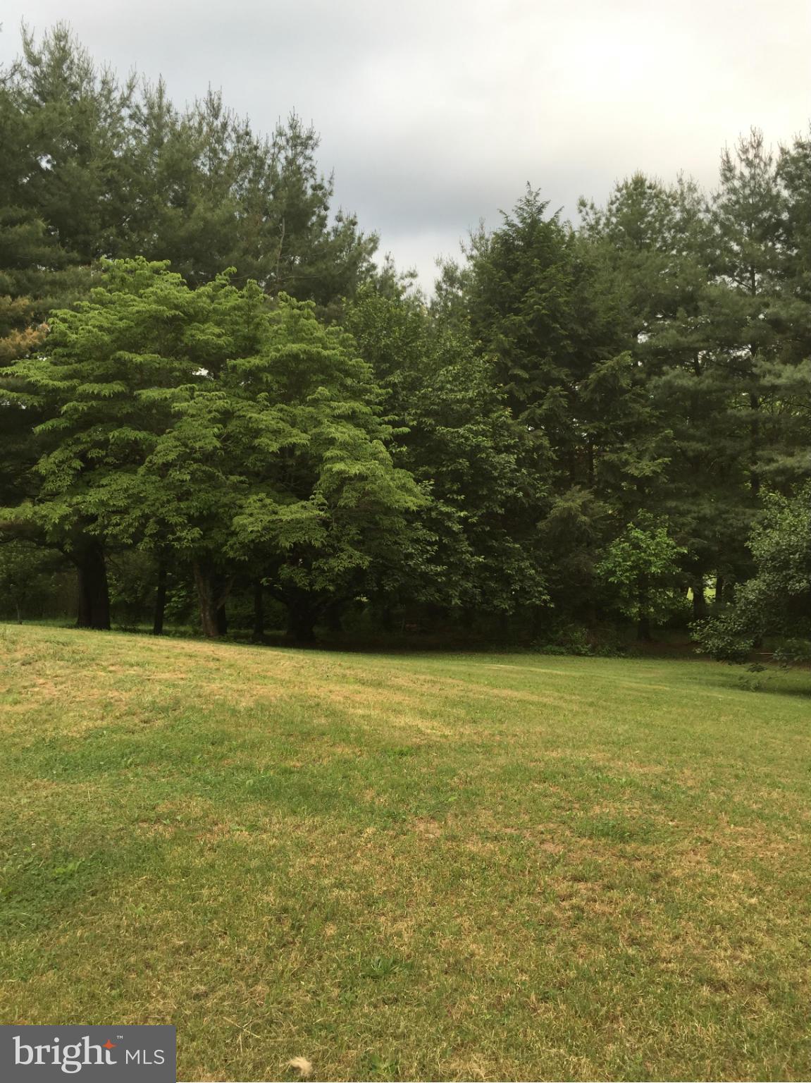 22 Grove Heights Road Berkeley Springs, WV 25411 - Photo 20 of 21 Exterior (Front)