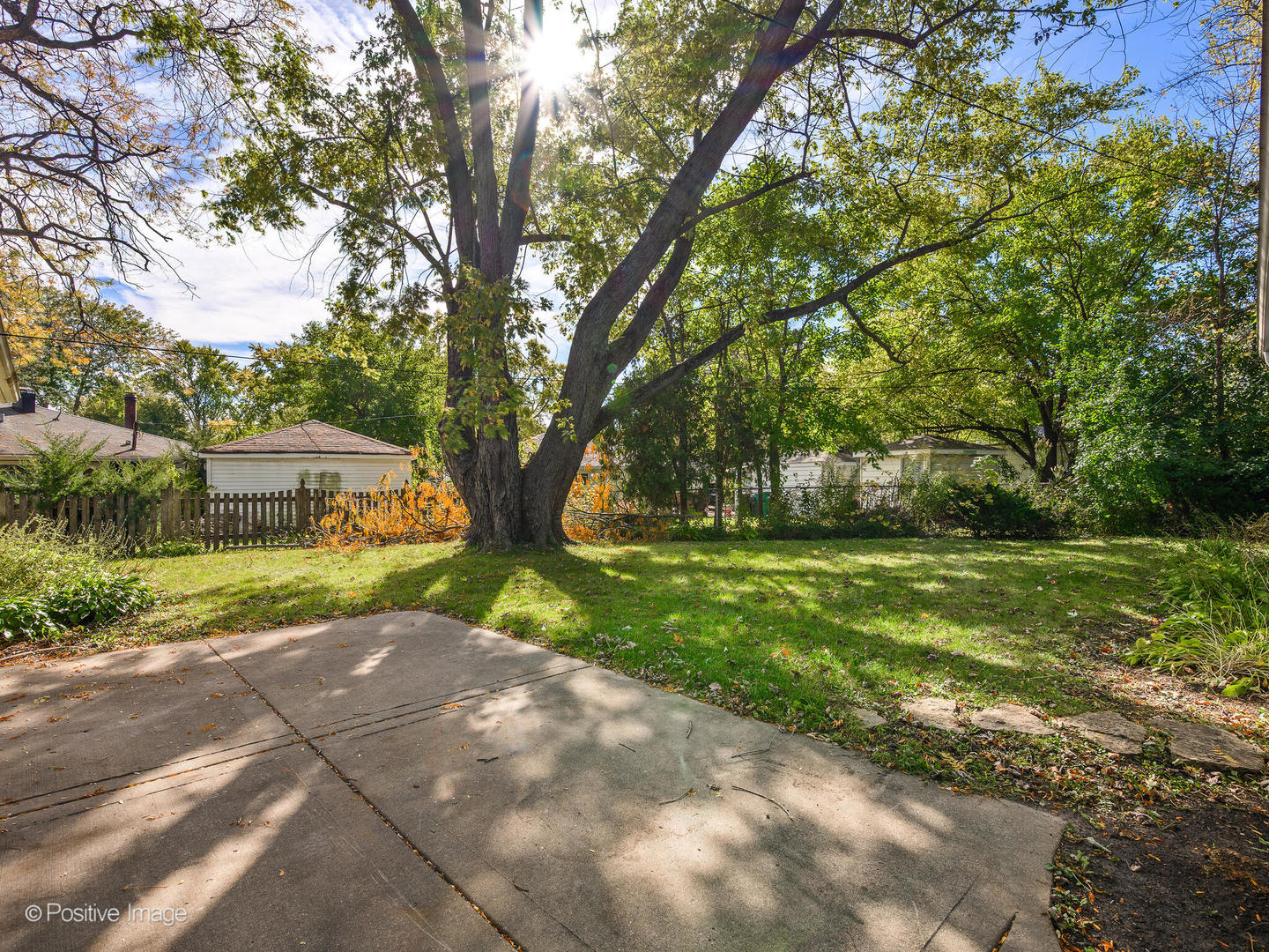 353 Blackhawk Drive Park Forest, IL 60466 - Photo 15 of 15 a front view of a house with garden and trees