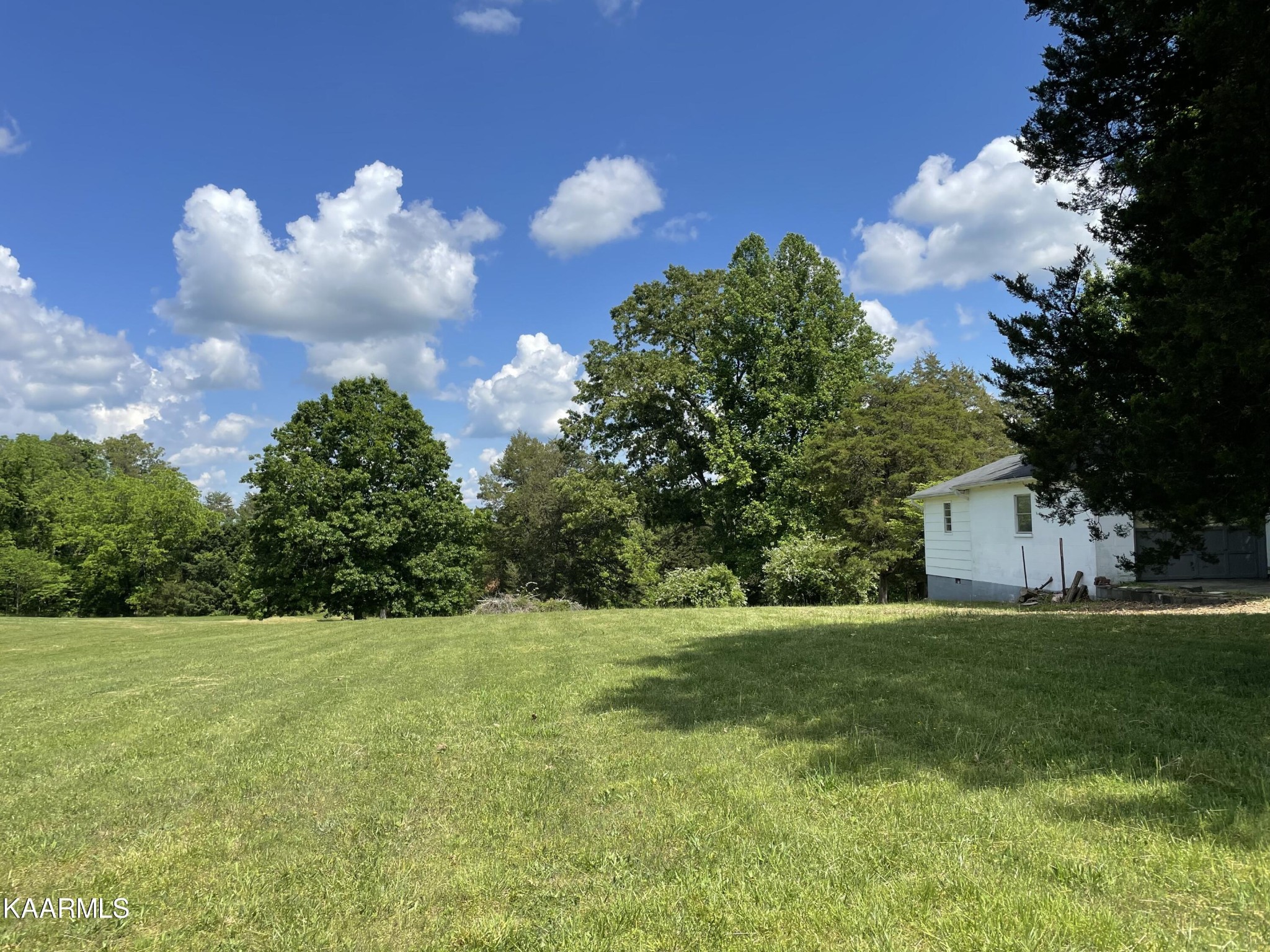 7522 Clapps Chapel Road Corryton, TN 37721 - Photo 3 of 12 a view of a big yard with plants and large trees