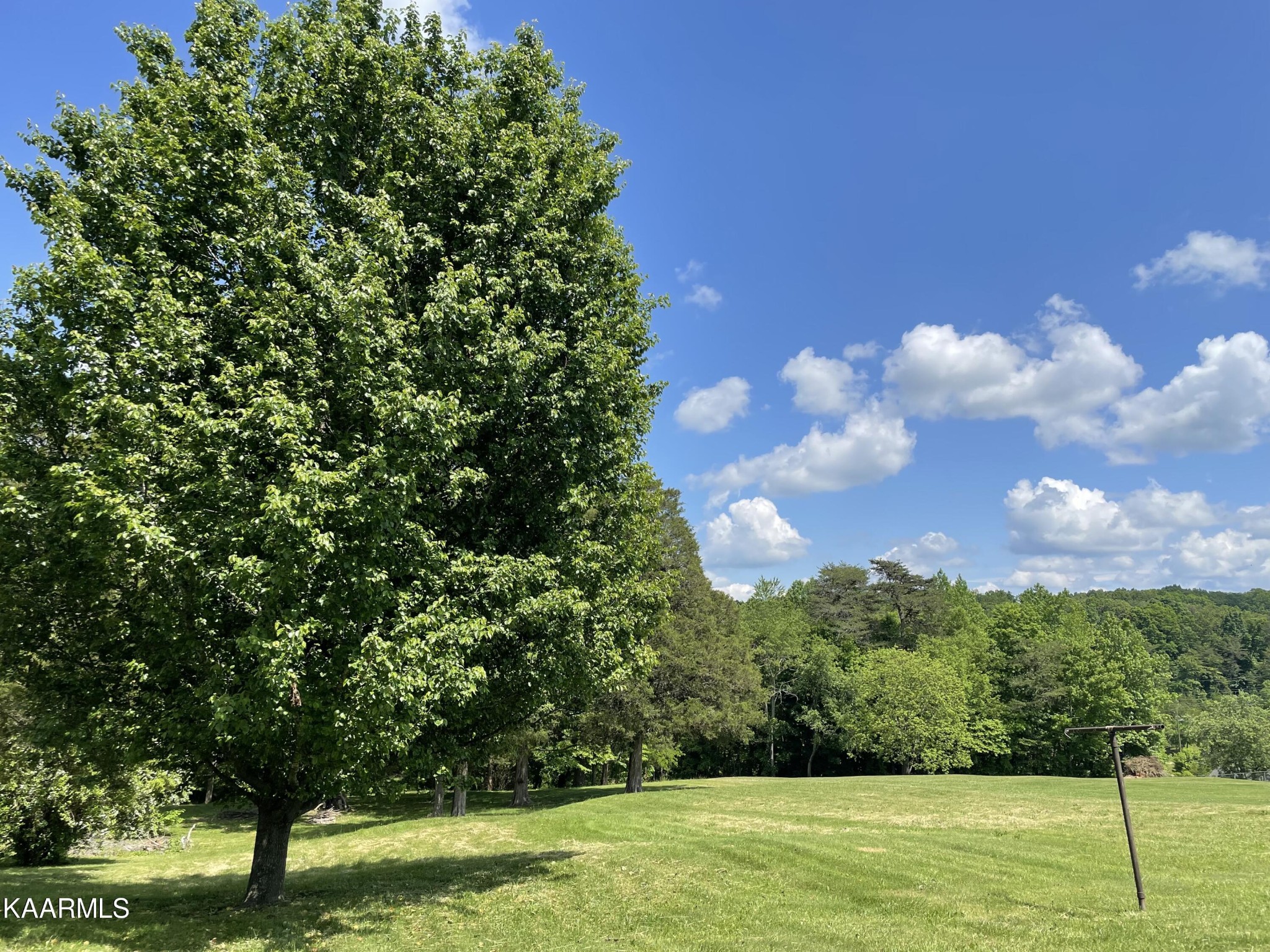 7522 Clapps Chapel Road Corryton, TN 37721 - Photo 5 of 12 a view of a big yard