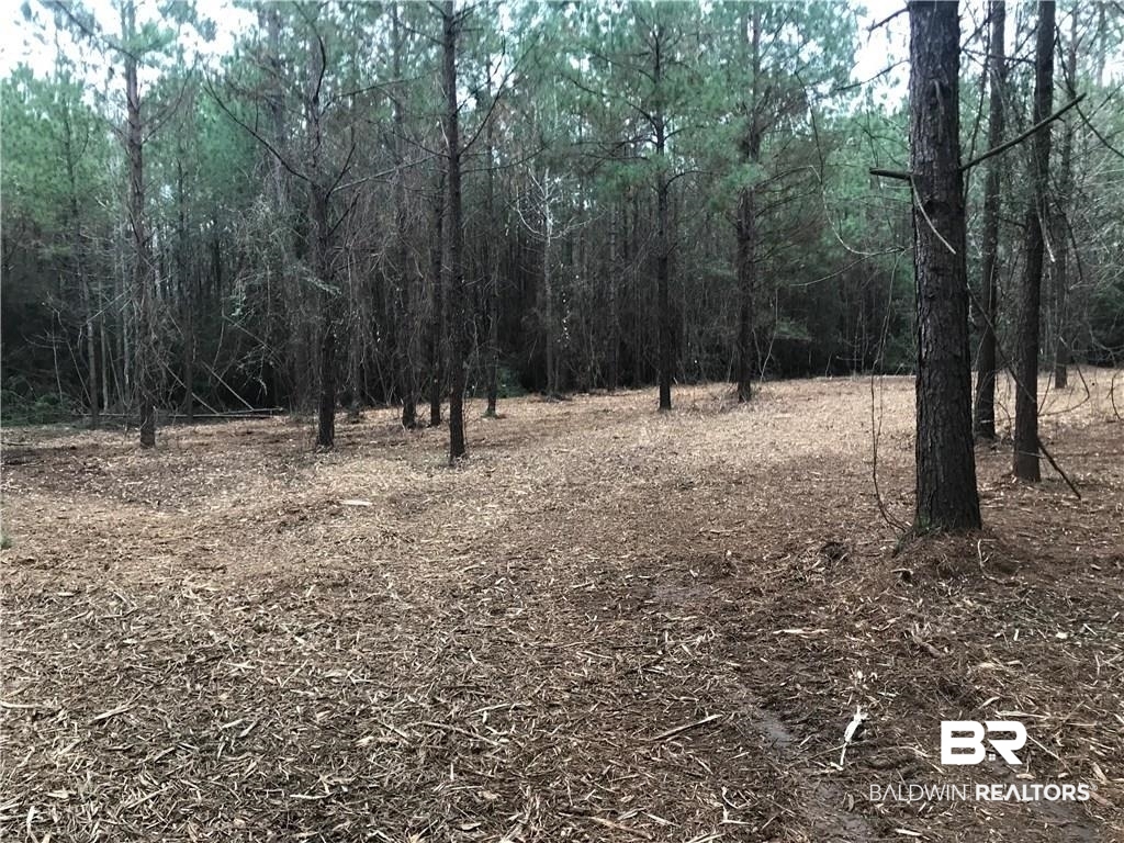 0 Wilmer Georgetown Road Wilmer, AL 36587 - Photo 1 of 2
