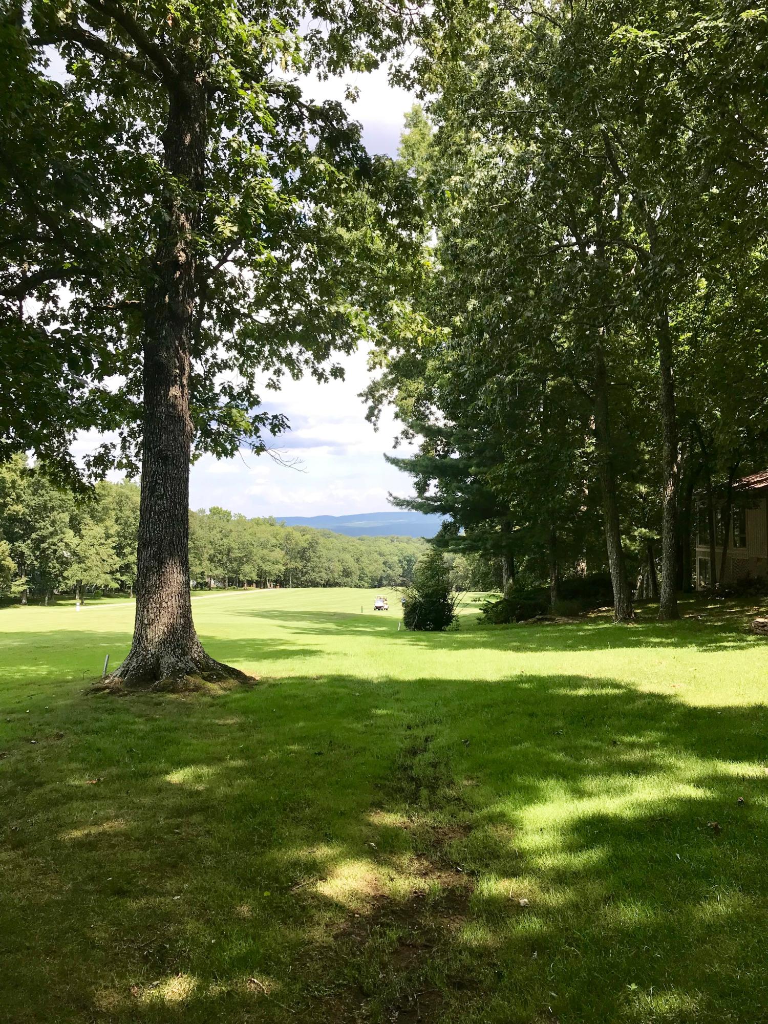 168 Baltusrol Road Crossville, TN 38558 - Photo 33 of 34 Backyard View