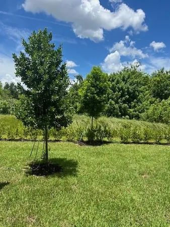 $3,200 | 4393 Hammock Grove Drive, Lake Worth, FL 33467