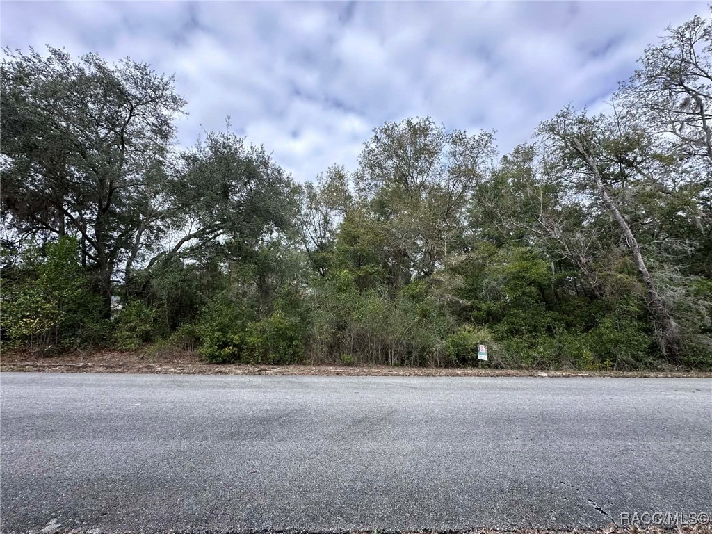 Lot 23 North Beach Road Dunnellon, FL 34431 - Photo 2 of 2 Gallery Image 2