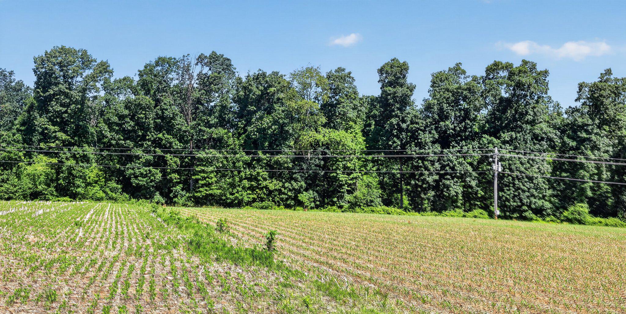 8042 Bobs Road Felton, PA 17322 - Photo 37 of 47 Tillable land, NW end of property facing E