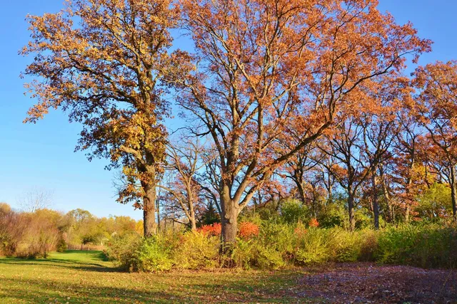 $195,000 | 840 Arbor Avenue, West Chicago, IL 60185